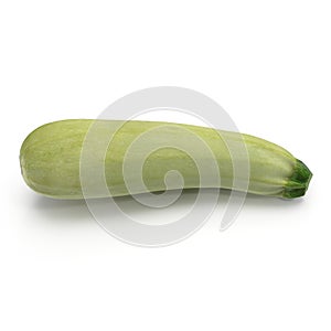 Summer Squash Zucchini Isolated on White Background 3D Illustration