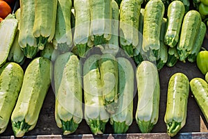 Summer squash - zucchini in public market