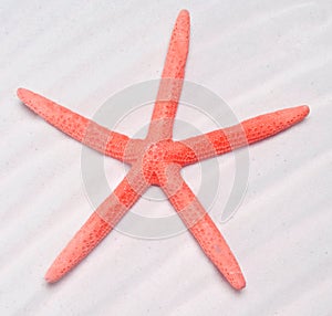 Summer Starfish