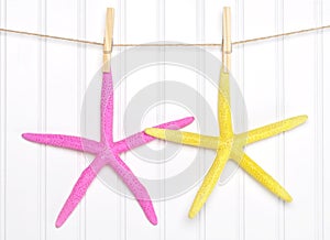 Summer Starfish on a Clothesline