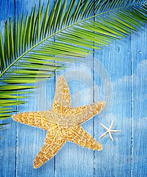 Summer Starfish on wooden background