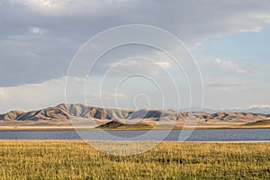 Summer in steppe, Kazakhstan. Tuzkol lake in summertime