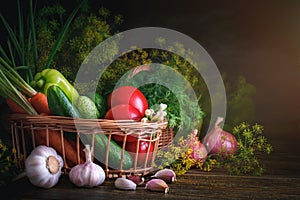 Summer still life of ripe vegetables and dill.