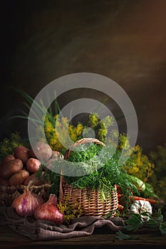 Summer still life of ripe vegetables and dill.