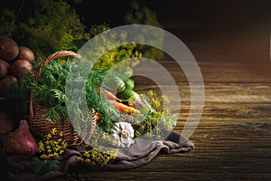 Summer still life of ripe vegetables and dill.