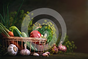 Summer still life of ripe vegetables and dill.