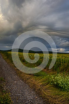 Summer storm cllouds landscape