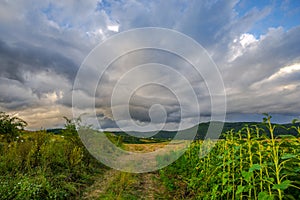 Summer storm cllouds landscape