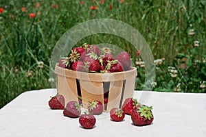 Summer strawberry harvest. Ripe appetizing red strawberries in wooden box stand on table against background of green grass