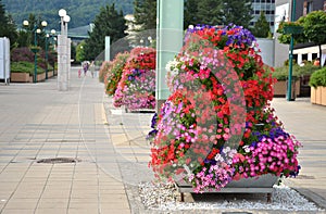 Summer street decoration of the city - pyramid made from particoloured flowers