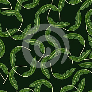 Summer style jungle seamless pattern with random banana leaf ornament. Dark green background
