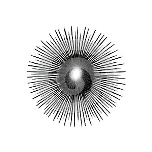 summer sun ai generated