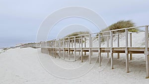 Summer Sun and Fun at the beach - girls relax and have a great time at the oceanfront