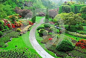 Summer sunken garden