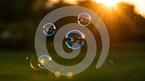 Summer sunlight and soap bubbles.