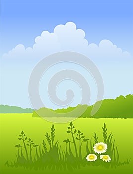 Summer sunny landscape