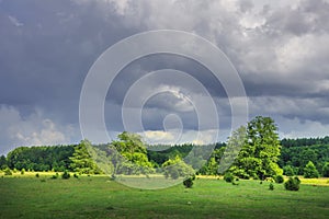 Summer sunny landscape of green nature with cloudy sky after rain on grassy meadow with trees and forest on horizon.