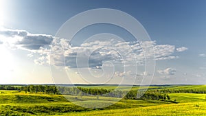 Summer sunny landscape.