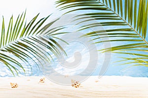 Summer sunny tropical beach with green palm leaves, white sand, sun glare, seashells and sea view, nobody. Empty landscape.