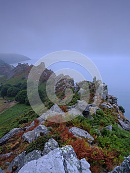 Summer sunrise with a clearing sea mist over the Valley of Rocks, near Lynton on the North Devon coast within the Exmoor National