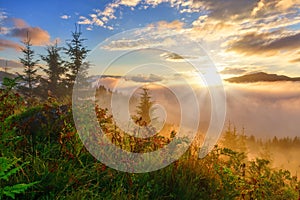 Summer sunrise landscape at mountains.