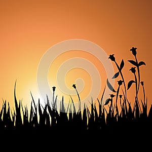 Summer Sunset Background with Grass and Flowers