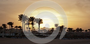 Summer sunset. Golden sunset evening in mountain and sea beach with palm umbrellas. Orange sunset on mountain pick and palms on se