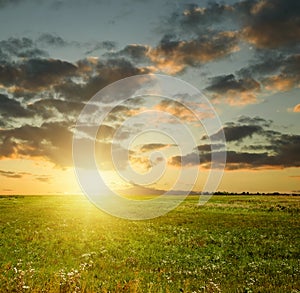 Summer sunset landscape