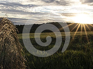 Summer sunset from the meadow with hay bales