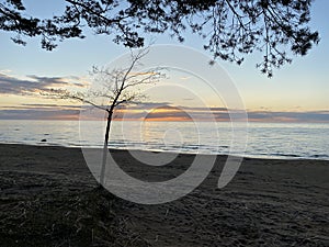 Summer sunset on the shore of the Gulf of Finland