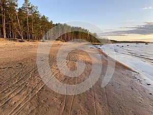 Summer sunset on the shore of the Gulf of Finland