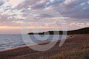 summer sunset on the shore of the Gulf of Finland in the town of Sosnovy Bor