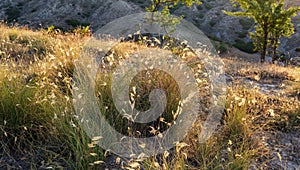 Summer sunset in Val d`Agri, Basilicata