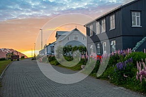 Summer sunset in the village on island of Hrisey in Iceland