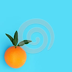 Summer Sunshine Orange Citrus Fruit