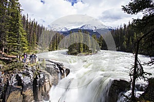 Summer in Sunwapta Falls, Jasper National Park, Canada