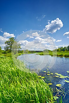 Estate dolce bandiera un fiume cielo blu nuvole campagna 