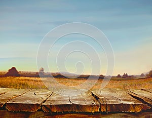 Summer table with landscape