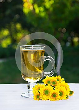 Summer tea in a sunny garden. Seasonal concept.