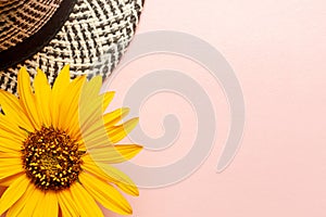 summer template mockup with hat and sunflower on a pink background. copy space