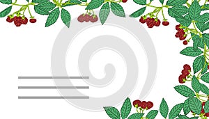 Summer templates with berries.Template for your design, greeting cards, festive announcements.