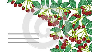 Summer templates with berries.Template for your design, greeting cards, festive announcements.