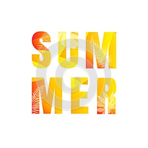 Summer Text Isolated White Background