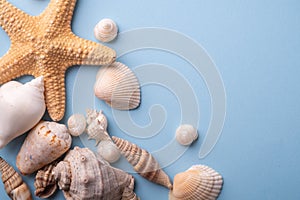 Summer texture copy space starfish seashell top view blue background