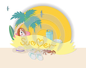 Summer time banner with typographic on ribbon and beach elements