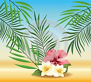 Summer time in beach vacations exotics flowers foliage tropical sand photo