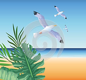 Summer time in beach vacations seagulls tropical exotic leaves