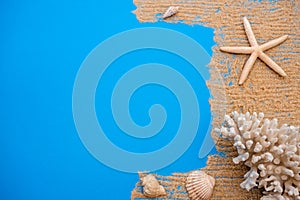 Summer time concept with sea shells and starfish on a blue wooden background and sand