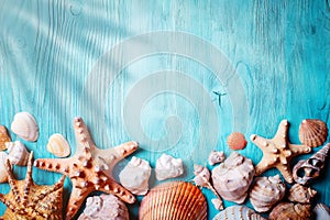 Summer time concept with seashells and starfish on blue wooden boards. Rest on the beach. Background with copy space