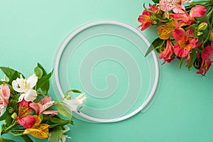 Summer time concept. Top view flat lay of colorful alstroemeria flowers on pastel teal background with empty circle for text or